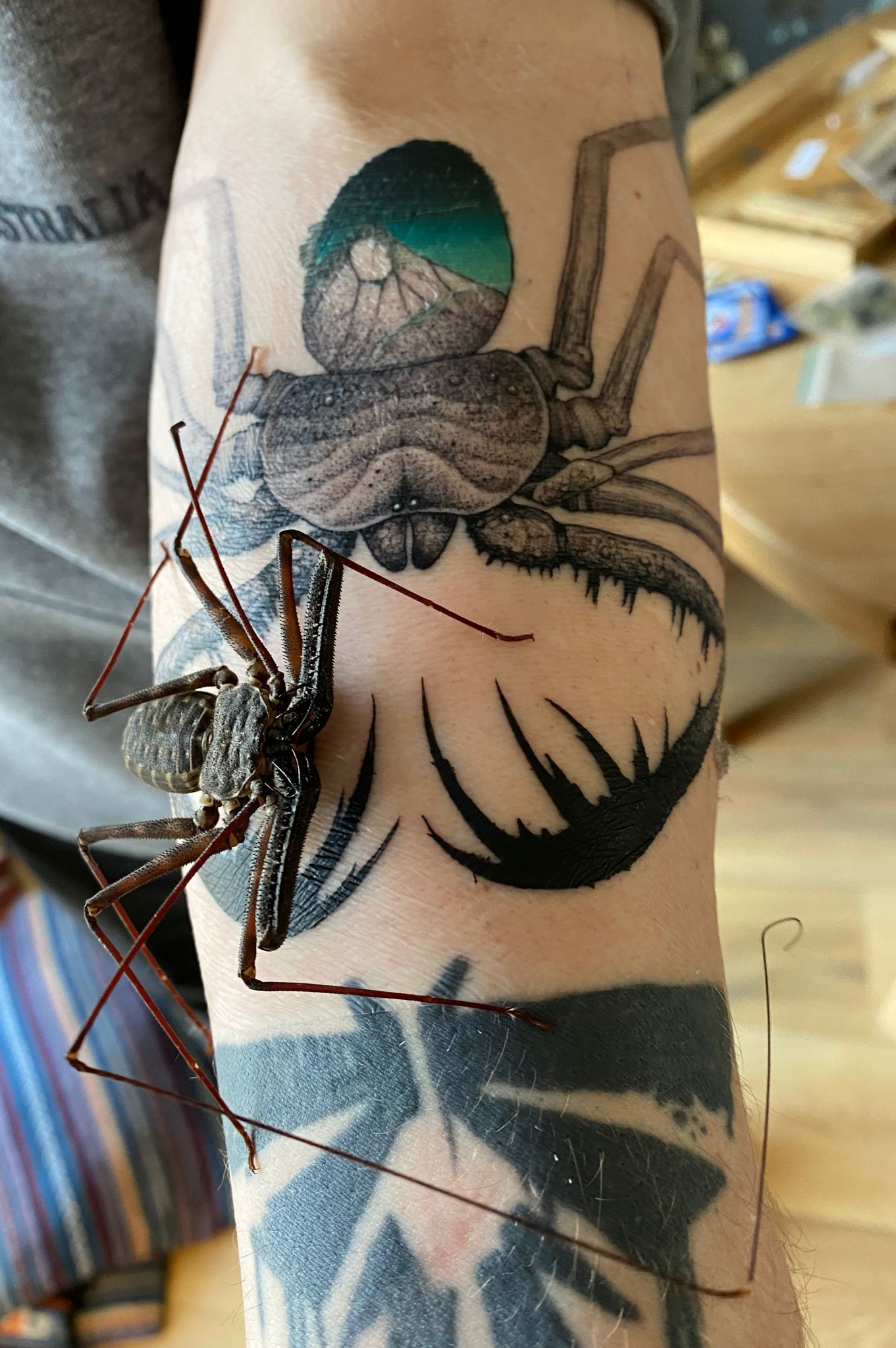 Tattoo Healing Process Steps and Aftercare Tips #47 Tattoo Healing Process Steps and Aftercare Tips