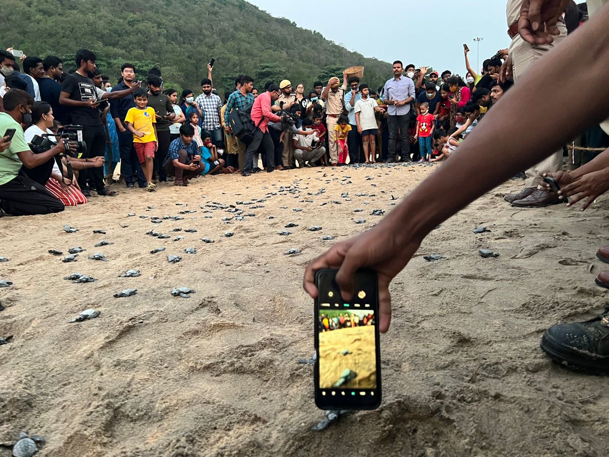 SriLakshmi_10's tweet image. Not a peaceful goodbye 😑   
#SaveOliveRidley