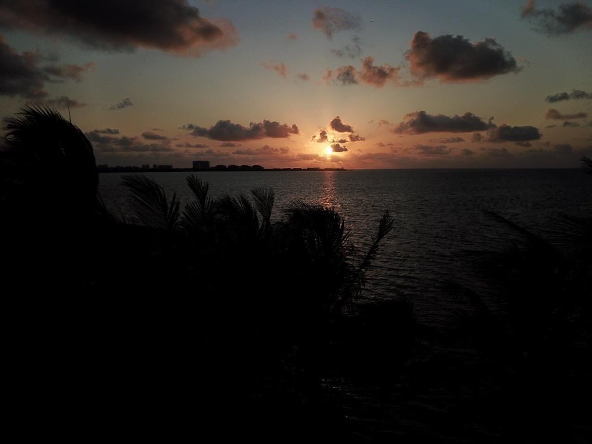 AytoCancun tweet picture