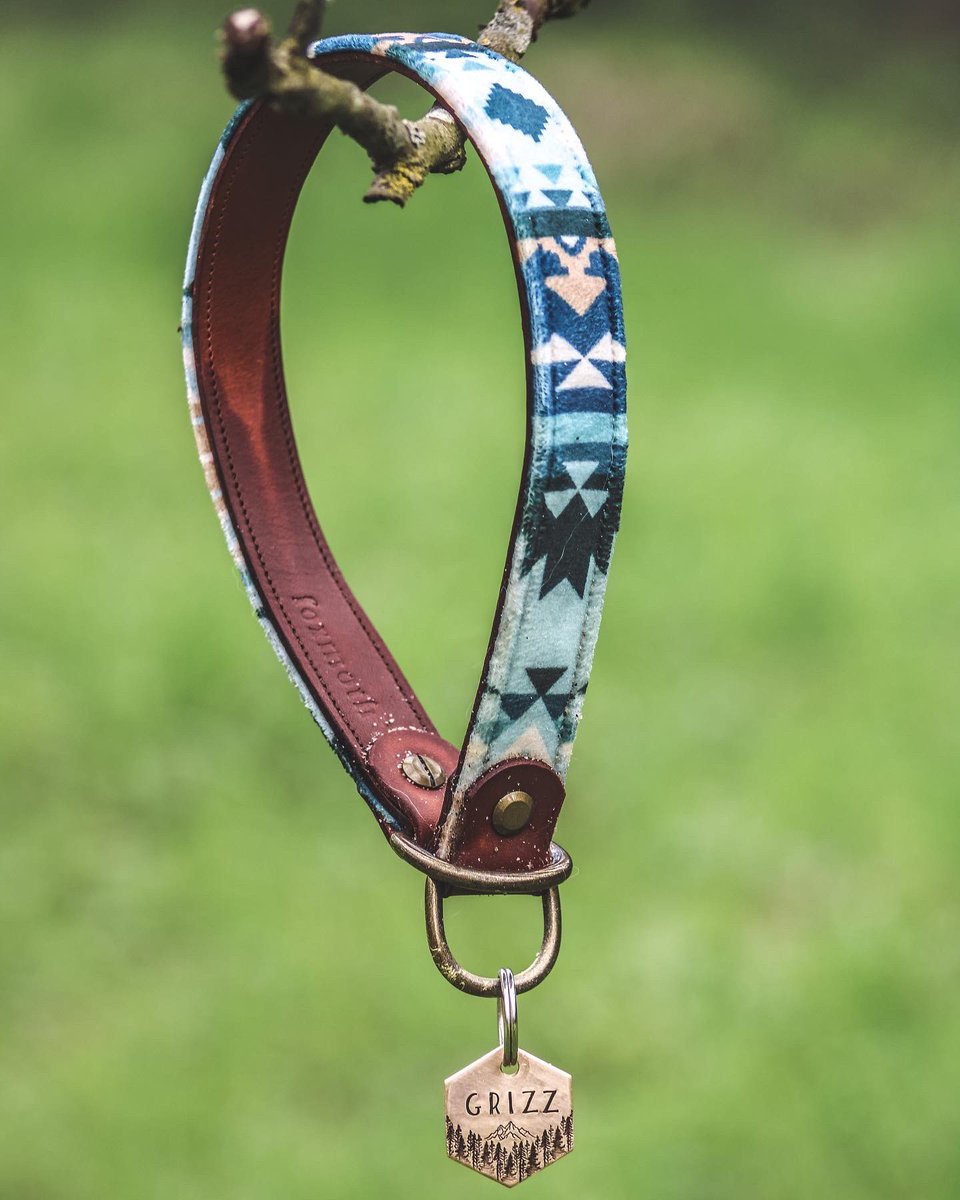 Grizzly Bear tweet media