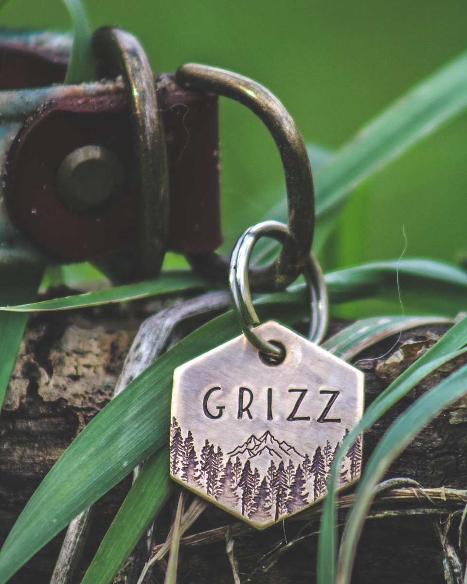 Grizzly Bear tweet media