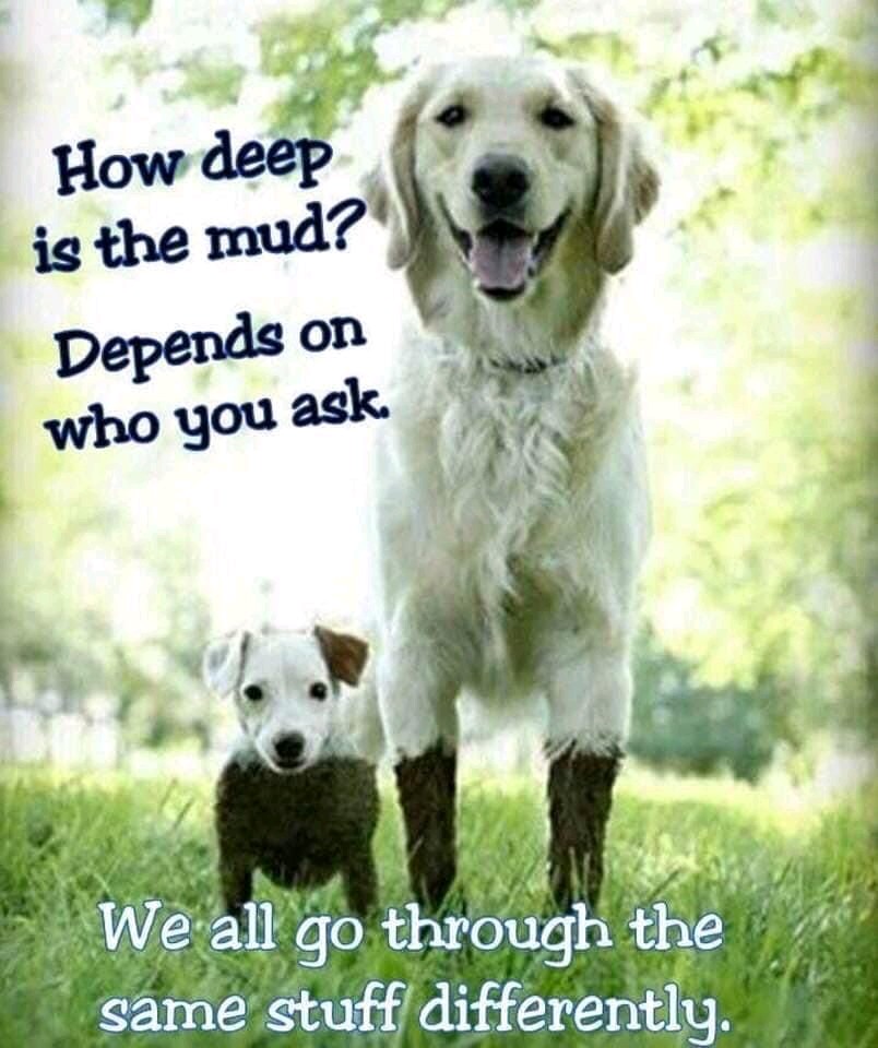 This is so true! 🧡