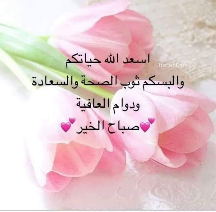 صباح هادئ و بداية جميلة 
ليوم جديد يُعانق السَماء 
بأُمنيات وأحلام هادئه، 
اللّهم حقق لنا ما نطمحُ إليه بقربك.

⁧#يسعدصباحكم⁩