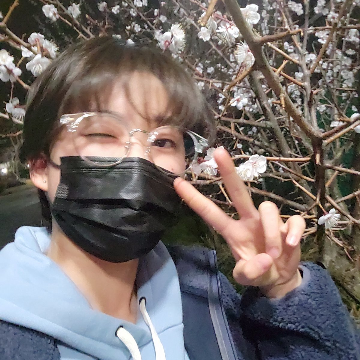 ANSAN's tweet photo. 시합 끝내고 왔더니 학교에 꽃이 피어있었습니다 개나리가 쏟아질듯이 있었어요 꽃구경 가고 싶다....... 그치만 올해도 글러먹은 것 같아요 언젠가 볼 수 있겠지 꽃 사진만 올리면 허전할까봐 선물도 하나 놓고 갑니다 해피주말 https://t.co/KmAhrCCjig