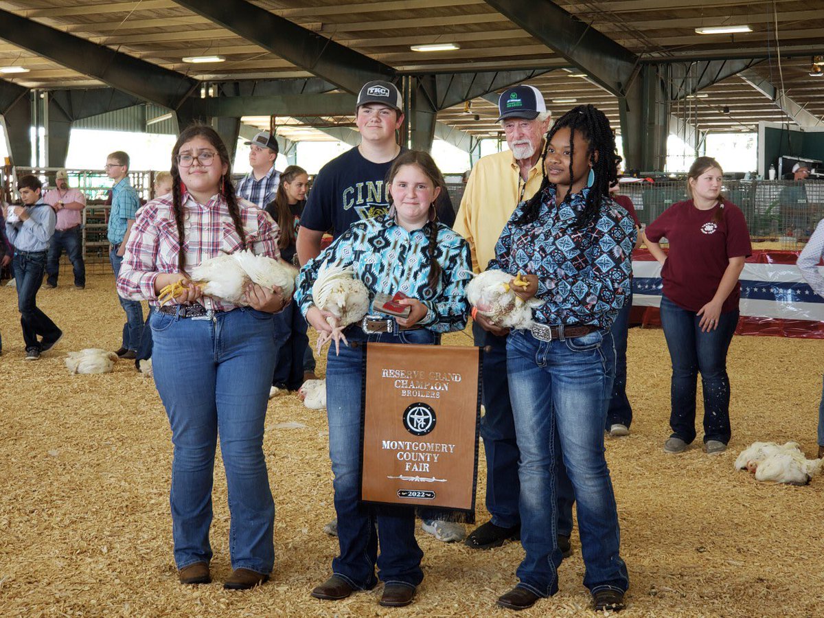 Reserve Grand Champion Broilers  Emily Jones CCHS Jr. FFA <a href="/GrangerlandCISD/">Grangerland Intermediate, Conroe ISD</a>