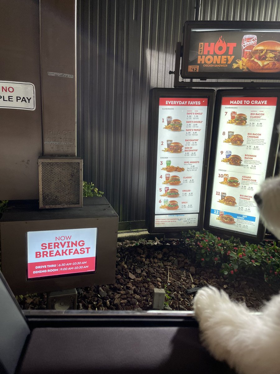 Lydasmind's tweet photo. @Wendys just pulled up lets see how long it takes for them to take my order https://t.co/z3GBxyW1Ae