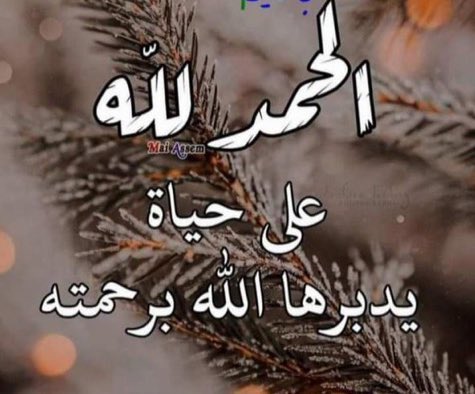 سبحان الله (@hano213566) on Twitter photo 