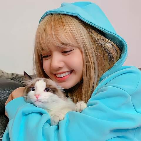 Lili 🐱Nini💕karin-a girls 🍀🌈🍑 tweet media