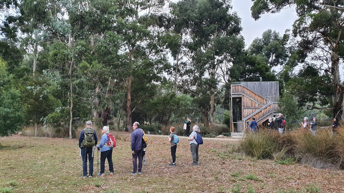 Bruny Island Bird Festival tweet media