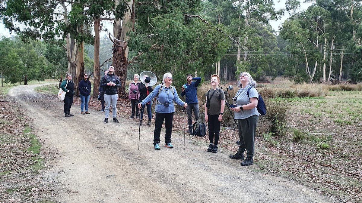 Bruny Island Bird Festival tweet media