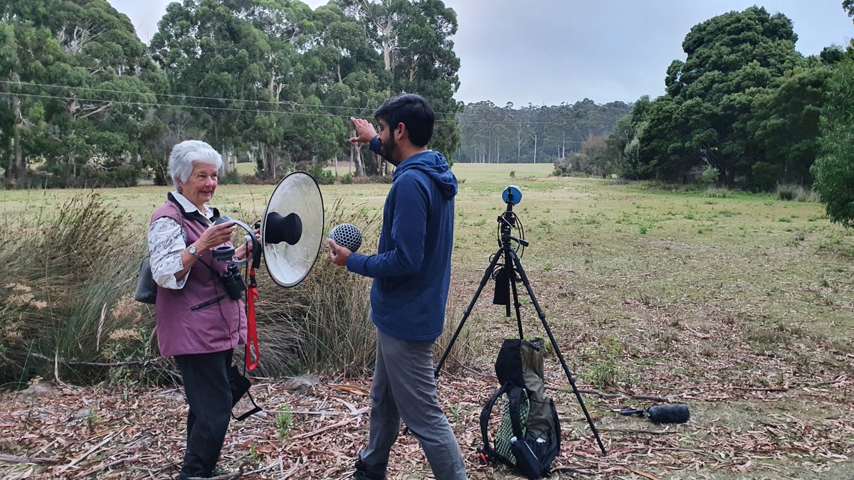 Bruny Island Bird Festival tweet media