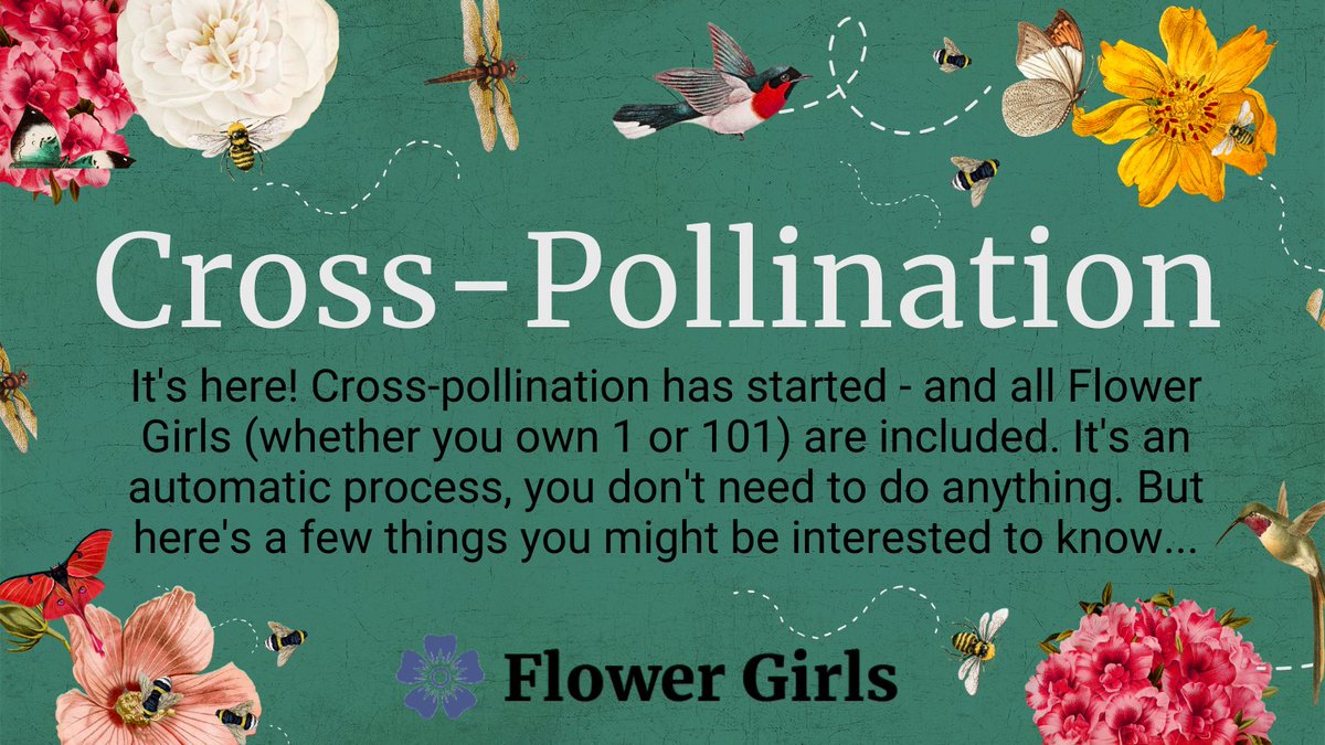 FlowerGirlsNFT's tweet photo. Cross-pollination FAQs 🌻

Leave us a 🐝 below if you found this information useful! Feel free to retweet or tag a friend who might also benefit from seeing this too 👇

Most of all, enjoy the experience - &amp; thanks for being a member of the flower fam! We love &amp; appreciate you♥️ https://t.co/KFdheY9K8Y