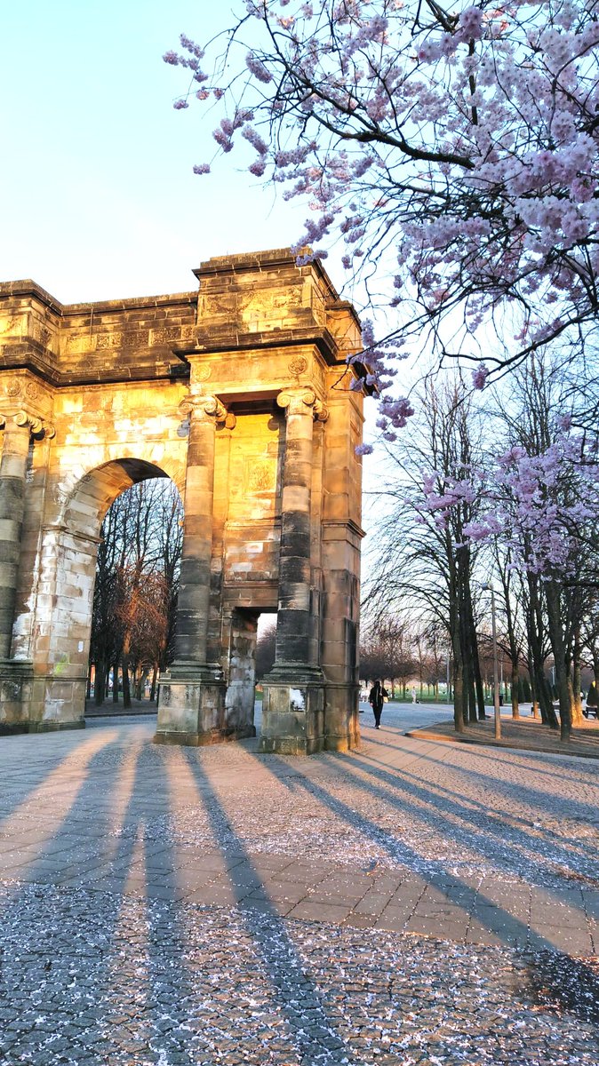 sifar_91's tweet photo. @nationaltrust #BlossomWatch @ Glasgow green park https://t.co/KCmRF6AJjP