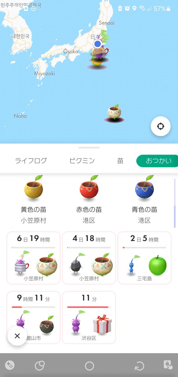 macaronkick's tweet image. 小笠原のダイビング&amp;amp;ホエールウォッチングから無事帰京。海の中に響き渡るクジラたちの鳴き声が神秘的でした。島で見つけたピクミンの苗の忘れ物をピクミンにとりにいってもらってます。がんばれ。