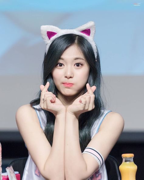twice_tzuyu21's tweet photo. ほっぺたぷっくりツウィたんを共有したい💙🦌🐶
#TWICE  #TWICE4 #TZUYU #TZUYUxZOOC #ツウィ https://t.co/cHnIbZQrB4