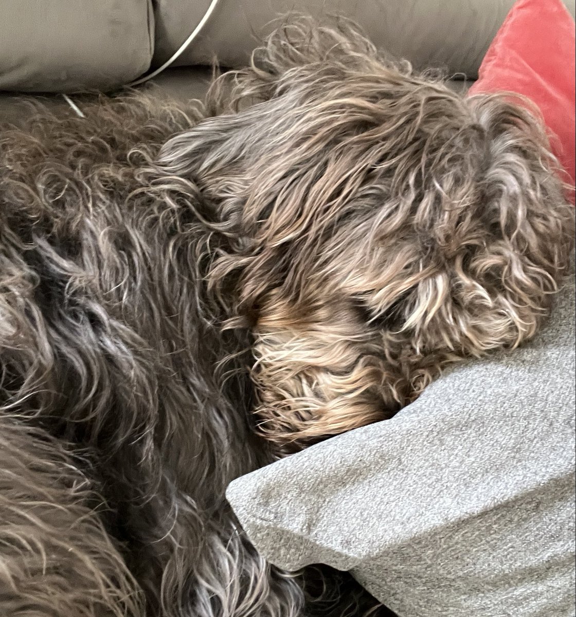 Ruhe jetzt, ich schlafe!