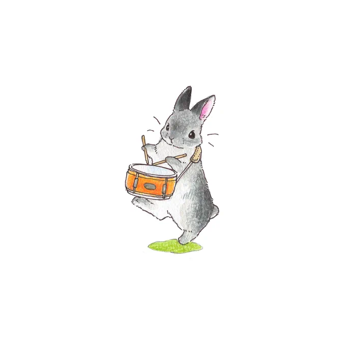 🐰うさぎさんのコンサート🥁 