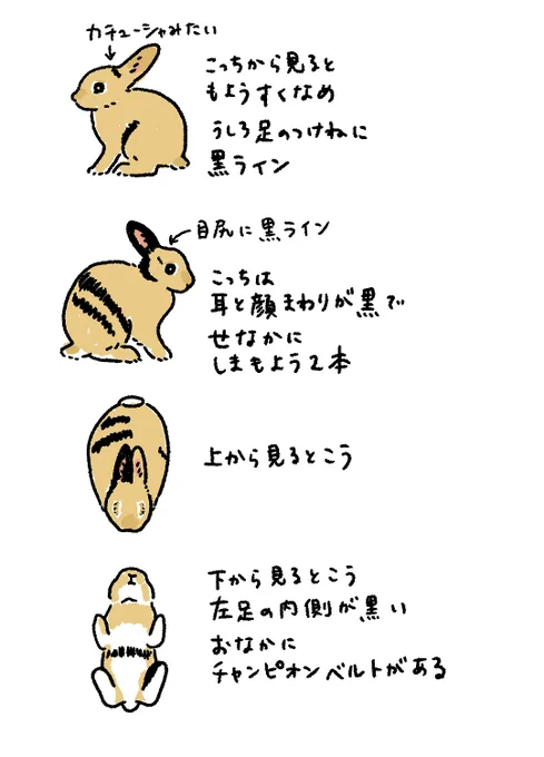 友達からリクエストがあり、ちょっと息抜きに描きました。これさえあれば誰でもランプくんが描ける! 