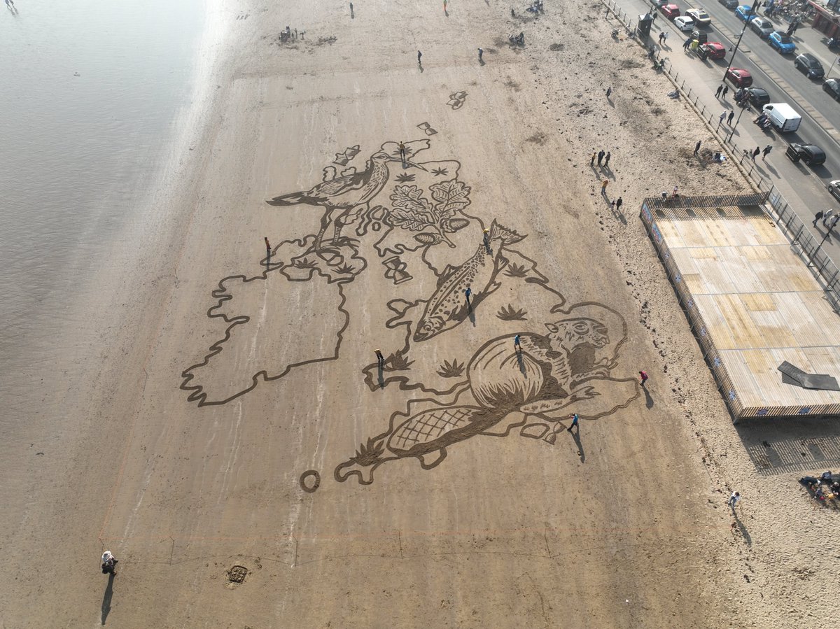 _BCT_'s tweet photo. Our latest blog is from Jane Williamson from @ukyouth4nature  "Drawing Lines in the Sand Over Nature Loss in the UK" https://t.co/CY9FORGpWR https://t.co/chtVCJUmvg