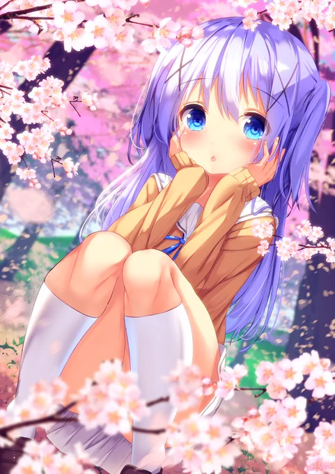 桜と高校生チノちゃん(見えないver)
#gochiusa 