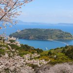 鹿児島 砂むし温泉 指宿白水館(Hakusuikan)のツイート画像