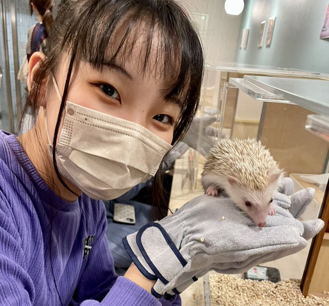 なつみかんのTwitter画像32