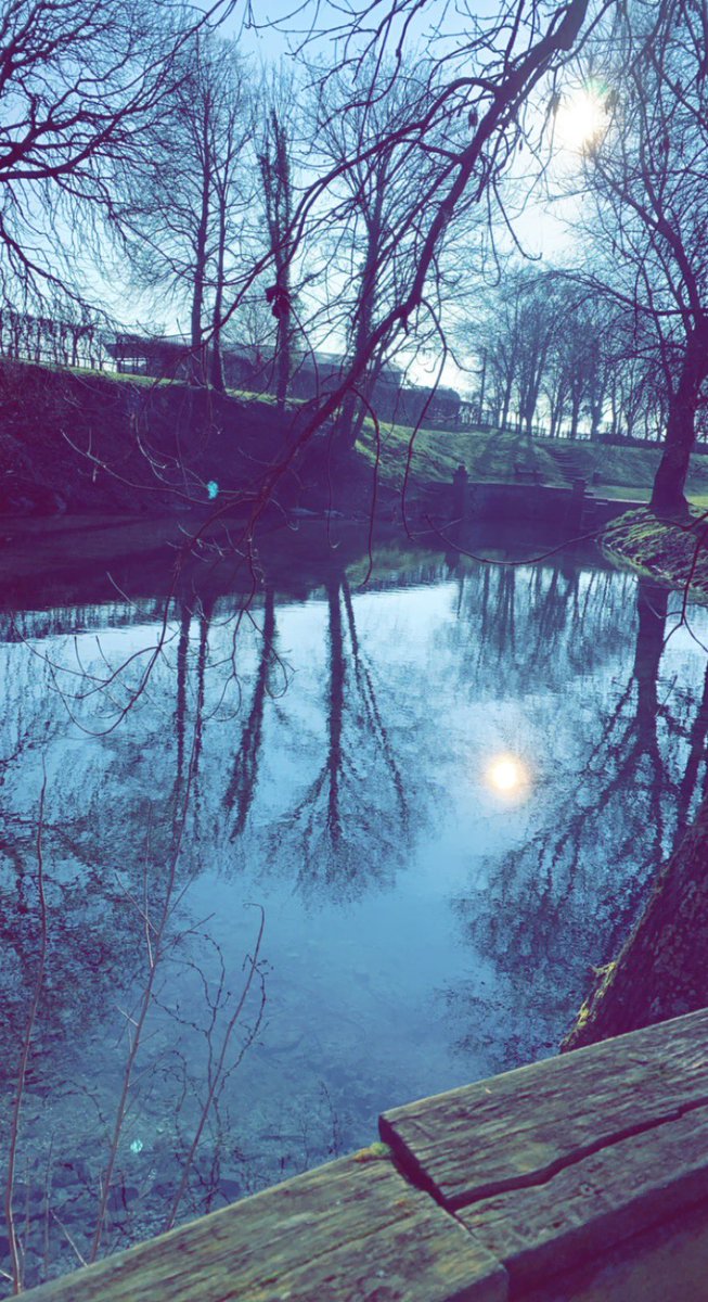 Jonath____Gthhh's tweet photo. La petite balade du matin ! Elle fait un bien fou 😎😎☀️#SundayDay https://t.co/q2mY0y4uQz