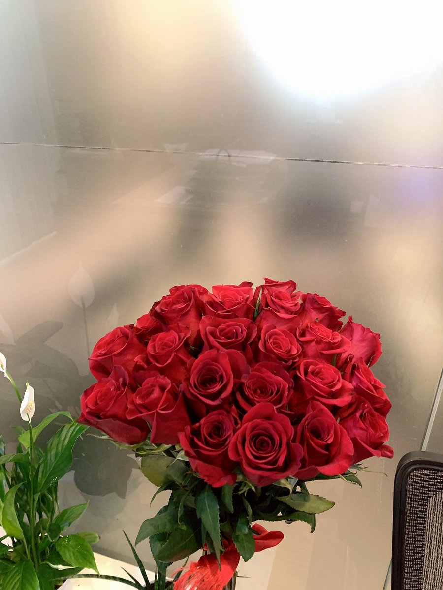 frkhdblog's tweet photo. 🌸 https://t.co/sivnlNSOeo