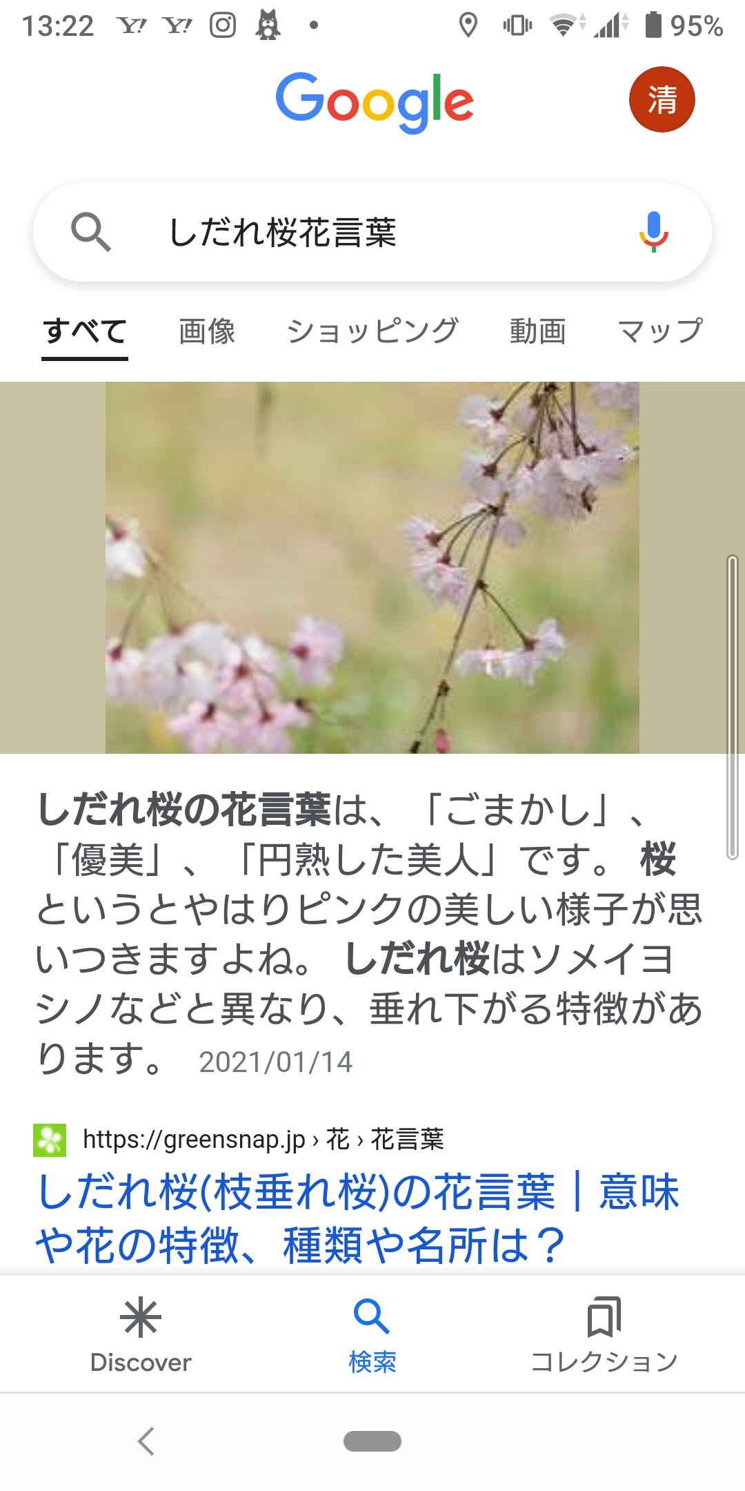 しみp Sur Twitter 注意喚起 メディアスエフエムの Facebookスタッフコメントで 円熟 した美人のしみp とか 書いてありますが これはスタッフの本心でも 忖度でも何でもなく しだれ桜の 花言葉 ですから 誤解のないようにお願いします てか ごまかし