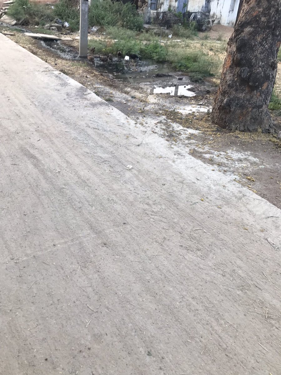 HasanAlisha's tweet photo. Sir they laid the roads in mulugu district, venkatapur mandal, Village venkatapur and forgot to fill the side roads with murram. Kindly ask contractor to fill the side roads. People facing issue because of that.@CollectorMulugu @DayakarRao2019 @MuluguSubColl @seethakkaMLA https://t.co/bEdBHR9Oce