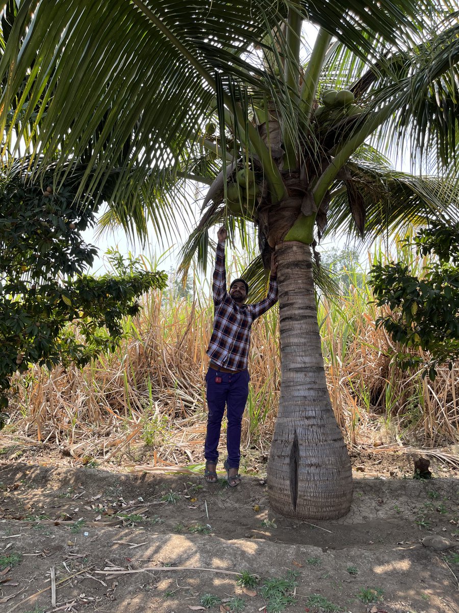 Afsar Shaikh (@afsarsh75648911) on Twitter photo 