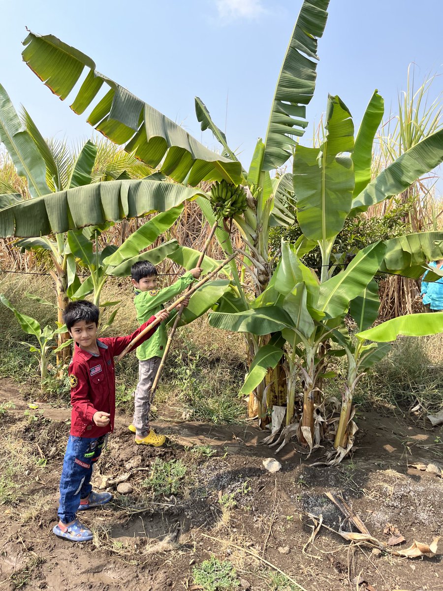 Afsar Shaikh (@afsarsh75648911) on Twitter photo 