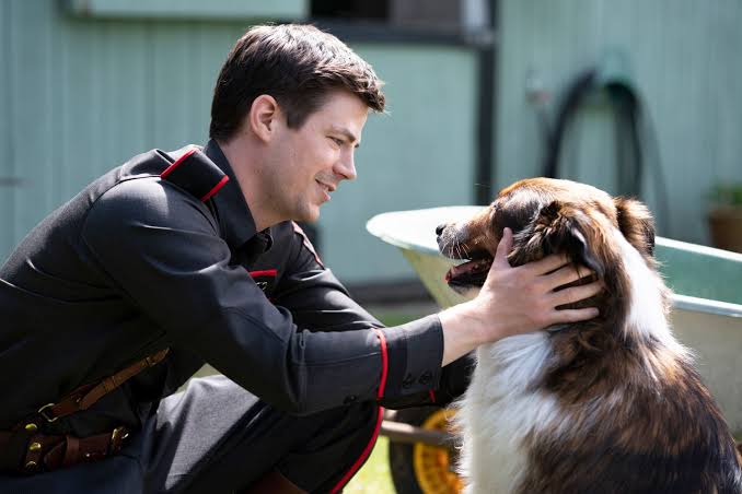 pythoroshan's tweet image. For those looking for a pleasant, kind movie, check out #rescuedbyruby

Funny yet tender with quite a few life lessons. Based on a real dog who was saved at the last moment from being out down (which coincidentally, was the fate of the dog portraying her in the movie too)