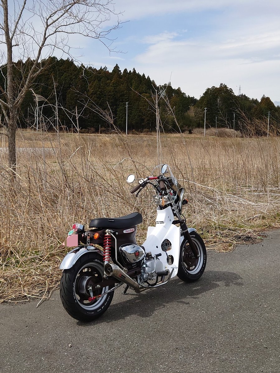 te71caro's tweet photo. カブのナンバー取得したので試走💨
キャブが息継ぎしまくりなので即帰宅😅 https://t.co/ohUkNMKIDG