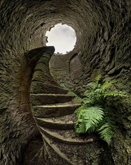 ancientorigins tweet picture