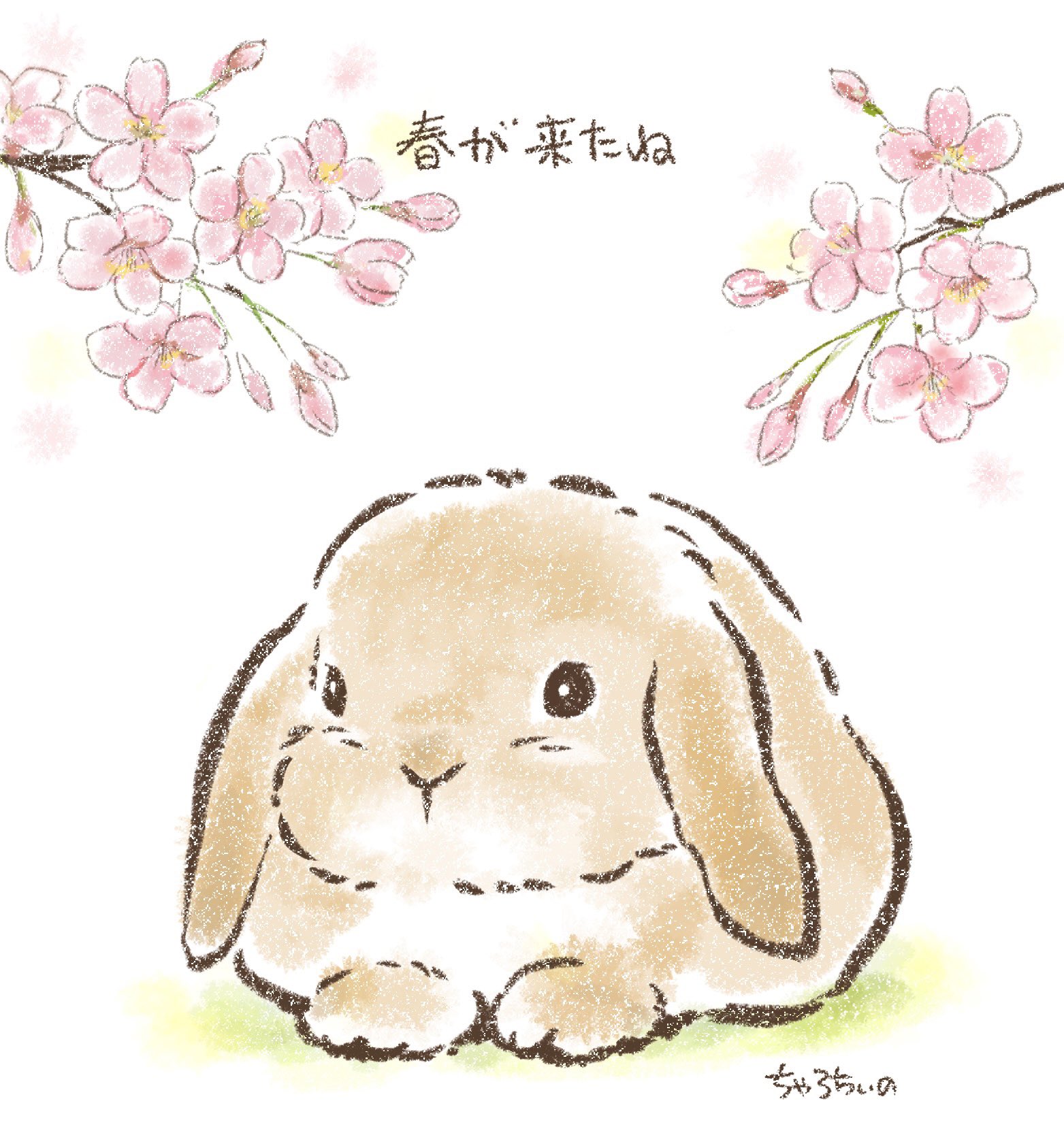 チャロチーノ 桜が咲いてます 春が来ましたね うさぎ うさぎのいる生活 うさぎイラスト うさぎ絵 T Co Q8s37hfxfy Twitter チャロチーノ 桜が咲いてます 春が来ましたね うさぎ うさぎのいる生活 うさぎイラスト うさぎ絵 T Co Q8s37hfxfy Twitter
