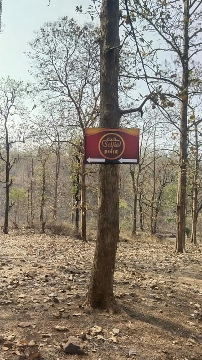 jayotibanerjee's tweet photo. #MelghatTigerReserve has a bountiful such old heritage structures
You will find this beauty at #Semadoh #SipnaWLDivision
@DivyaIFS our avid Wildlifer DCF has creatively made a #SelfiePoint niche space for our tourists.
Please visit & post selfies tagging us @magical_melghat https://t.co/uoE2b84DaT