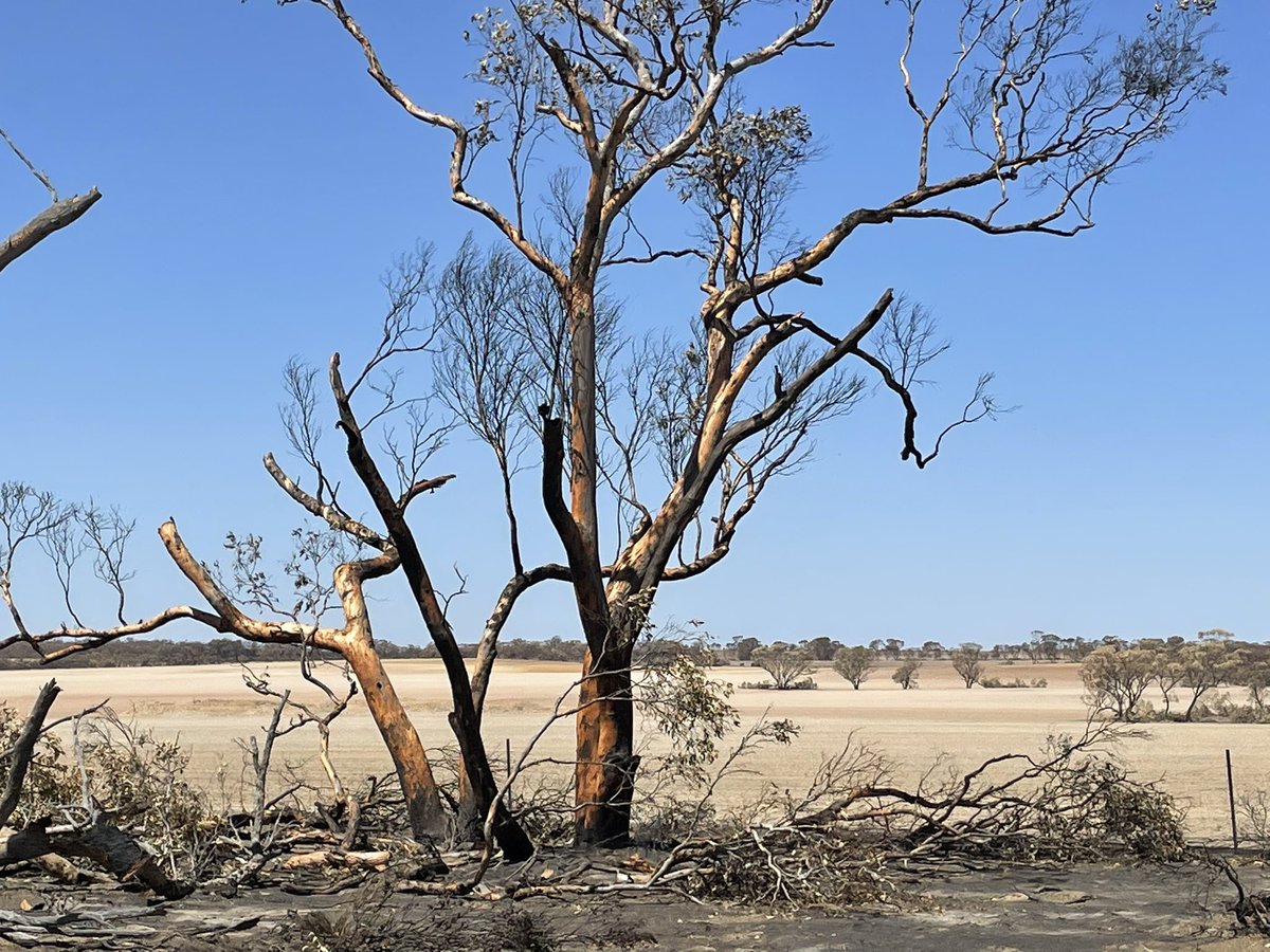 🌾Cindy Stevens tweet media