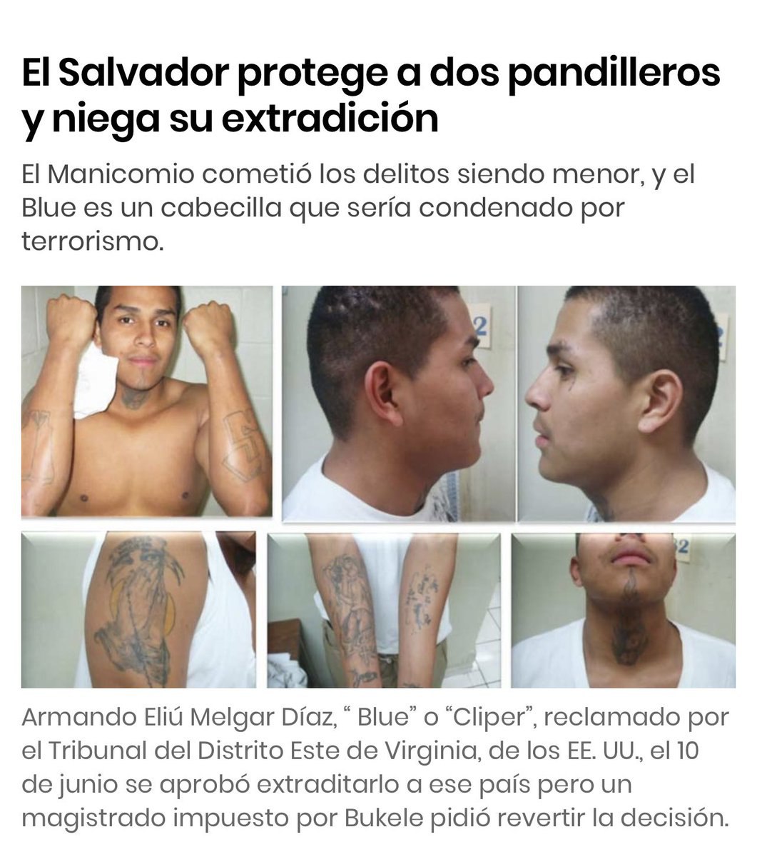 ChatoVergas's tweet photo. Gracias a los beneficios que el gobierno le da a las pandillas y a que al parecer se rompió su tregua, ahora tenemos una ola de asesinatos. Ahí esta los miles de $$$ que pidieron al fracasado plan control territorial y ahora a quien le hechan la culpa gobierno inepto. https://t.co/CV9n77Itig
