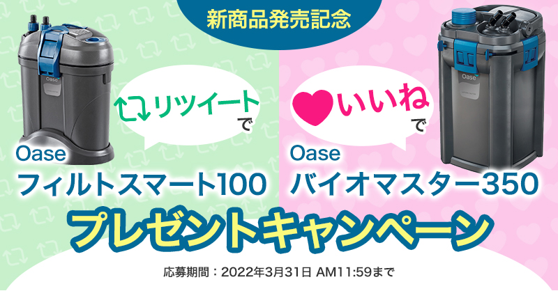 shopcharm's tweet photo. ＼＼新発売記念／／
チャーム本店会員限定！
近日発売 #Oase 外部フィルター
それぞれ抽選で1名様にプレゼント🎁✨

▼応募方法
①@shopcharmをフォロー
②このツイートをRT or いいねをして応募完了！
本店新規登録の方も参加🆗

当選者の方には、後日DMを送付いたします💌

#アクアリウム
#新商品
