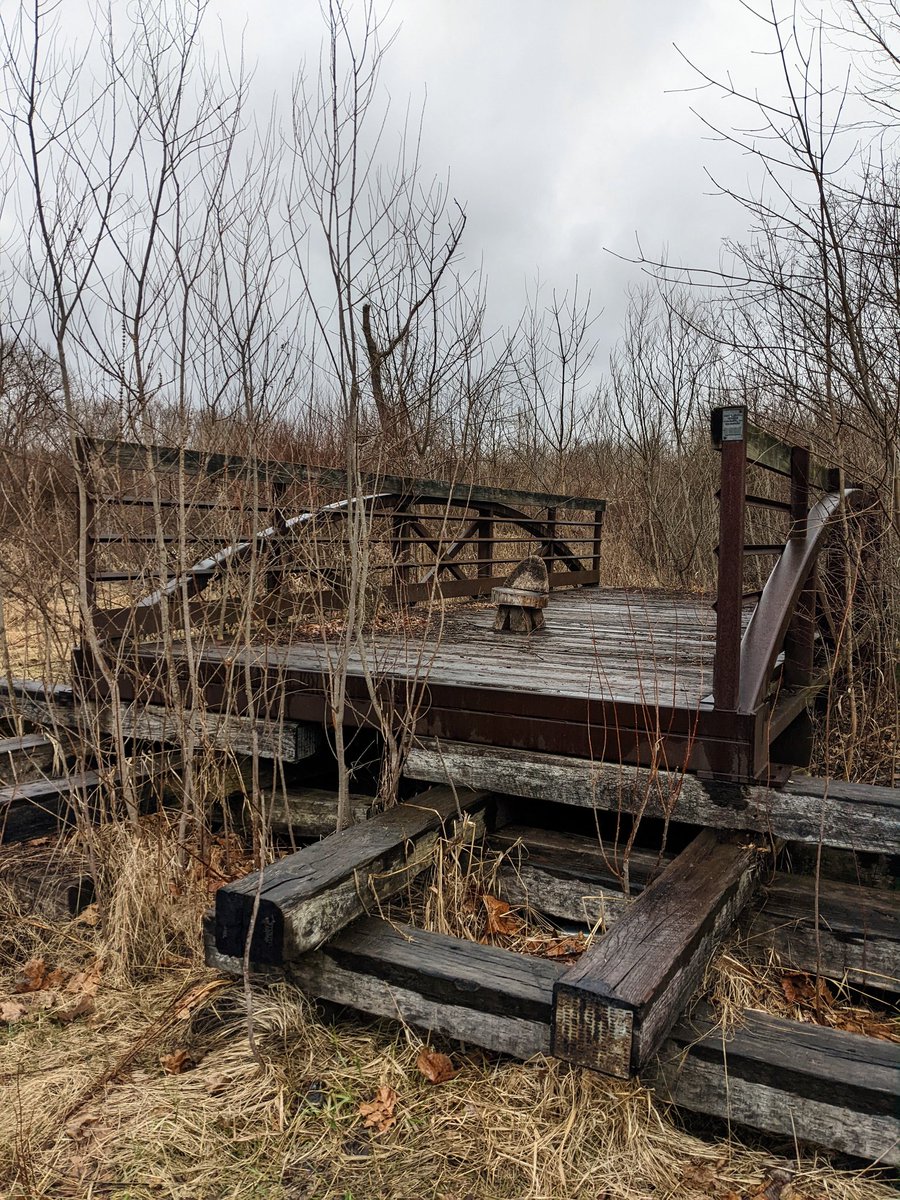 SaraZunda's tweet photo. More photos from cross country adventure! This time through Ohio! 🌿🧡✨ https://t.co/FP1nnxuYs3