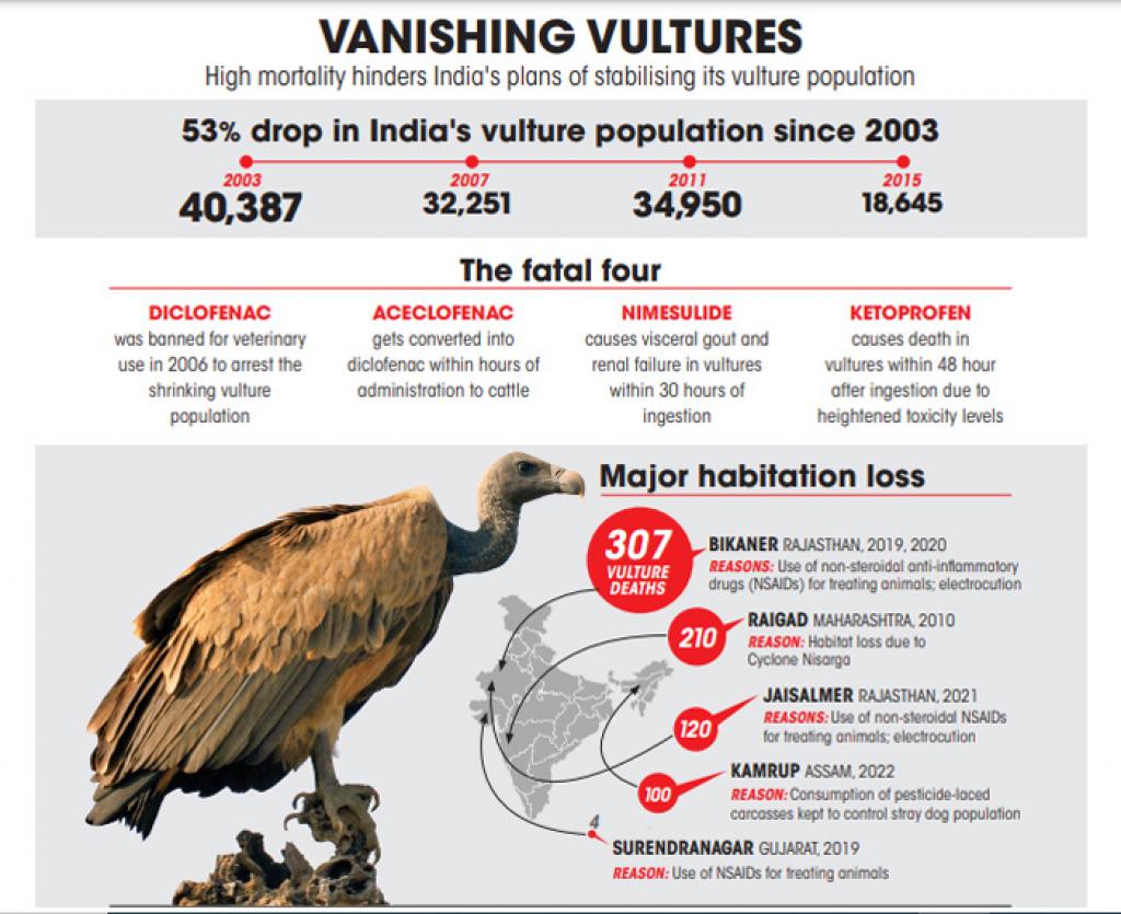 SoniaCAdhana's tweet photo. veterinary use of non-steroidal anti-inflammatory drugs (NSAIDs) namely #Aceclofenac, #Ketoprofen and #Nimesulide has renewed the concerns of #ornithologists about their potential threat to the recovery of #Vulture population in the country. https://t.co/Dl3FTUcGto