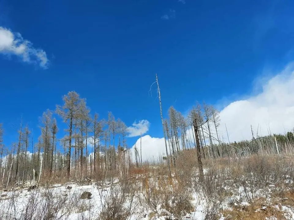 EnsyGund's tweet photo. 🏞👩🏻🦯💕Цас мөс хайлахаас өмнө амжиж Сэлбэ голын эхийг очиж үзэв. 😃🥰 #WeekendTrek #SelbeRiver 💕👩🏻🦯 🏞 https://t.co/w7UaTg2XXF