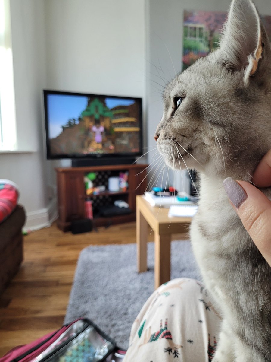 moosocks's tweet photo. Sunday morning cuddles with Khaleesi watching some @GTWScar  100 hours videos https://t.co/OFzJmKKTPX