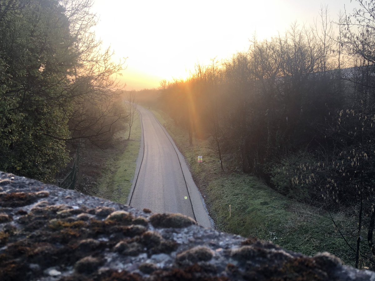 Mellow Designs tweet media