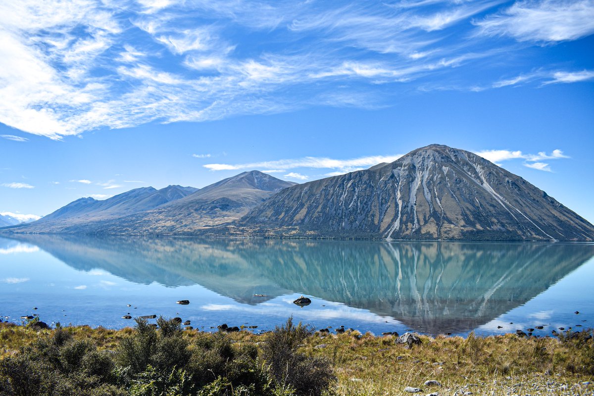 Corrine O tweet media