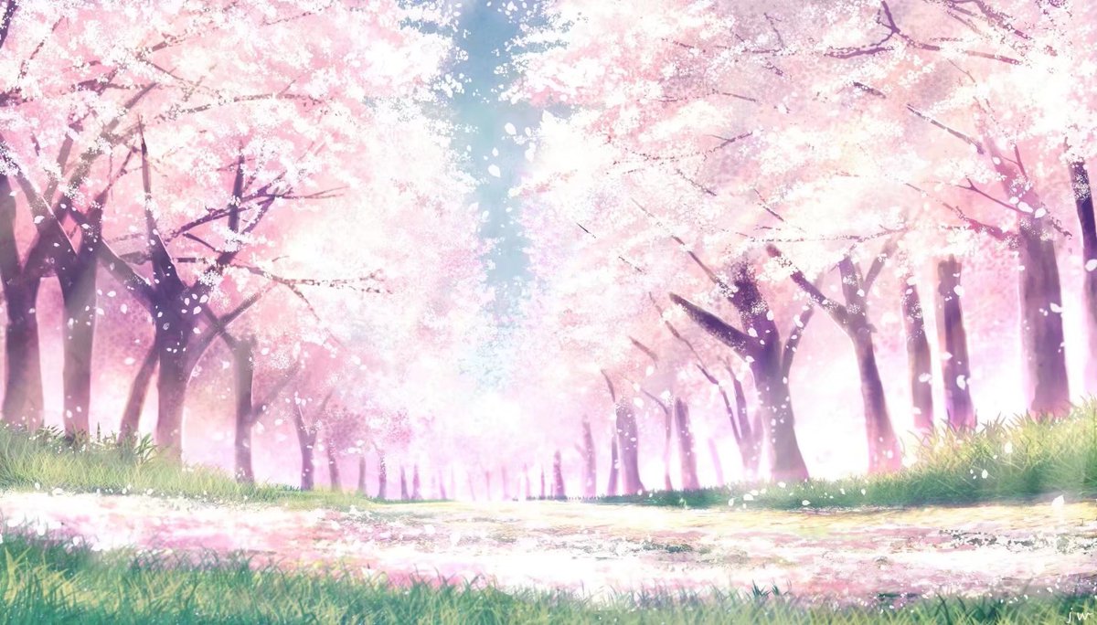 no humans cherry blossoms tree scenery pink theme outdoors sunlight  illustration images