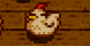 AnimalsPixel's tweet photo. Sleeping chicken (Stardew Valley) https://t.co/pkQcQIV3z8