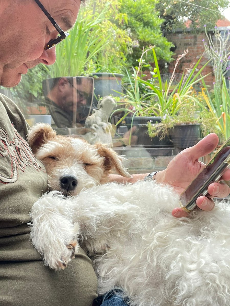 HoeGrange's tweet photo. @MichelleSLT @dotty4paws @RikkiSullivan14 @rachelspenceruk @misheleneous @moomooandbearuk @EastRustonCotts We’re very lucky - we live on a farm in the #peakdistrict and all our holiday guests go “wow” when they arrive to stay! #NationalTerrierDay #terriertakeover this poor chap was worn out after all the walkies he did on his holiday !! https://t.co/uZLXg4kksN