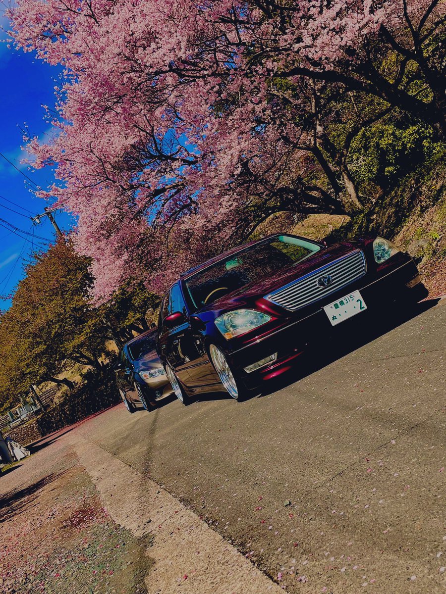 rechimaru_0831's tweet photo. 🌸×セダン https://t.co/BXOPaRBZJG